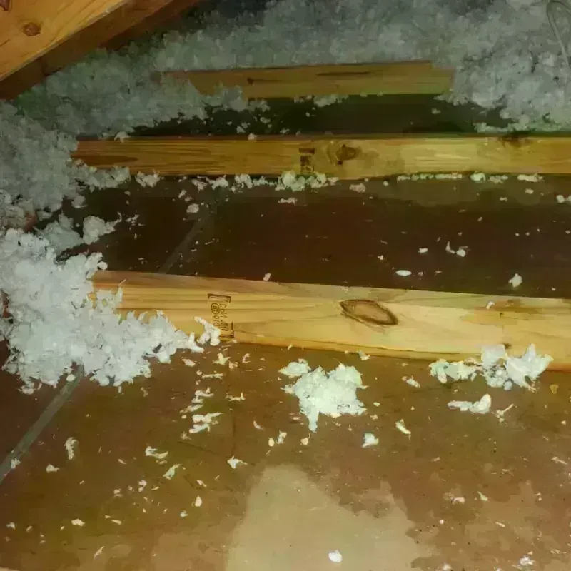 Attic Water Damage in Jackson, WI