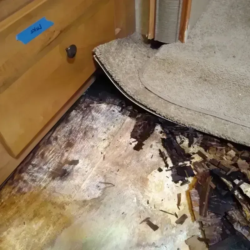 Wood Floor Water Damage in Jackson, WI